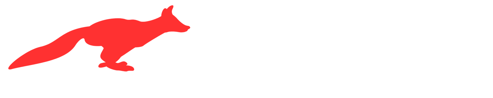 CyberVayu
